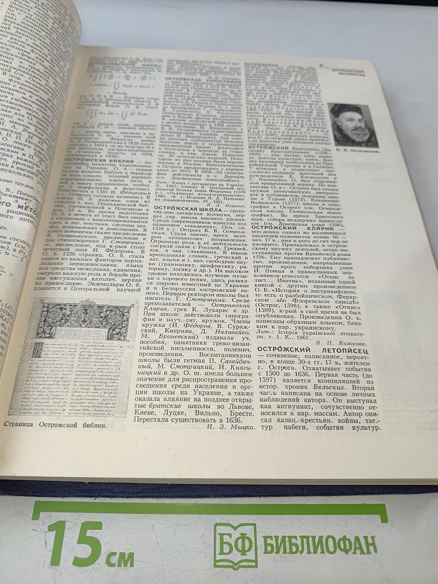 Украинская Советская Энциклопедия. Том 8: Остов - Продюсер