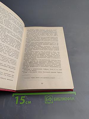 Желтый Туман. Тайна заброшенного замка