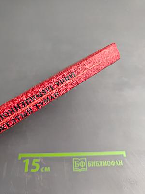 Желтый Туман. Тайна заброшенного замка