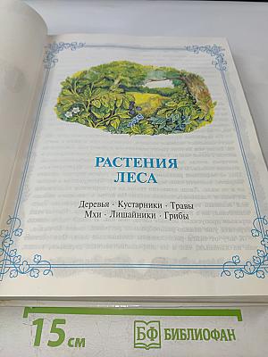 От 7 до 10 лет: азбука живой природы