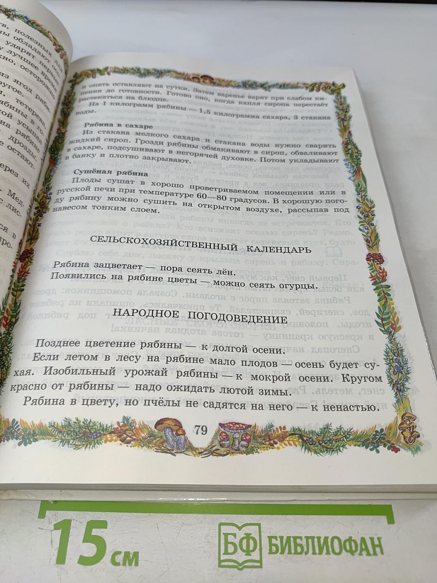 От 7 до 10 лет: азбука живой природы