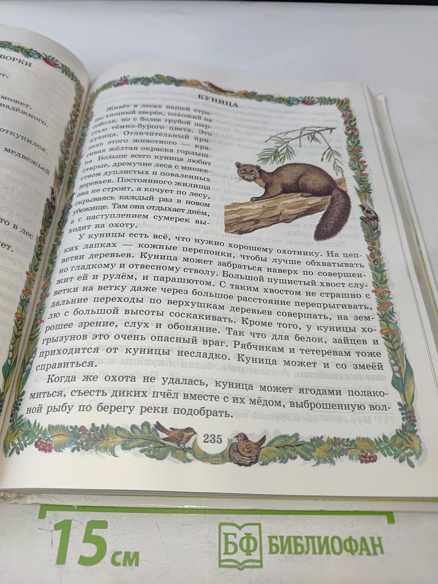 От 7 до 10 лет: азбука живой природы