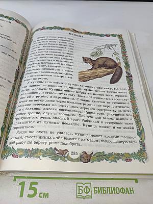От 7 до 10 лет: азбука живой природы