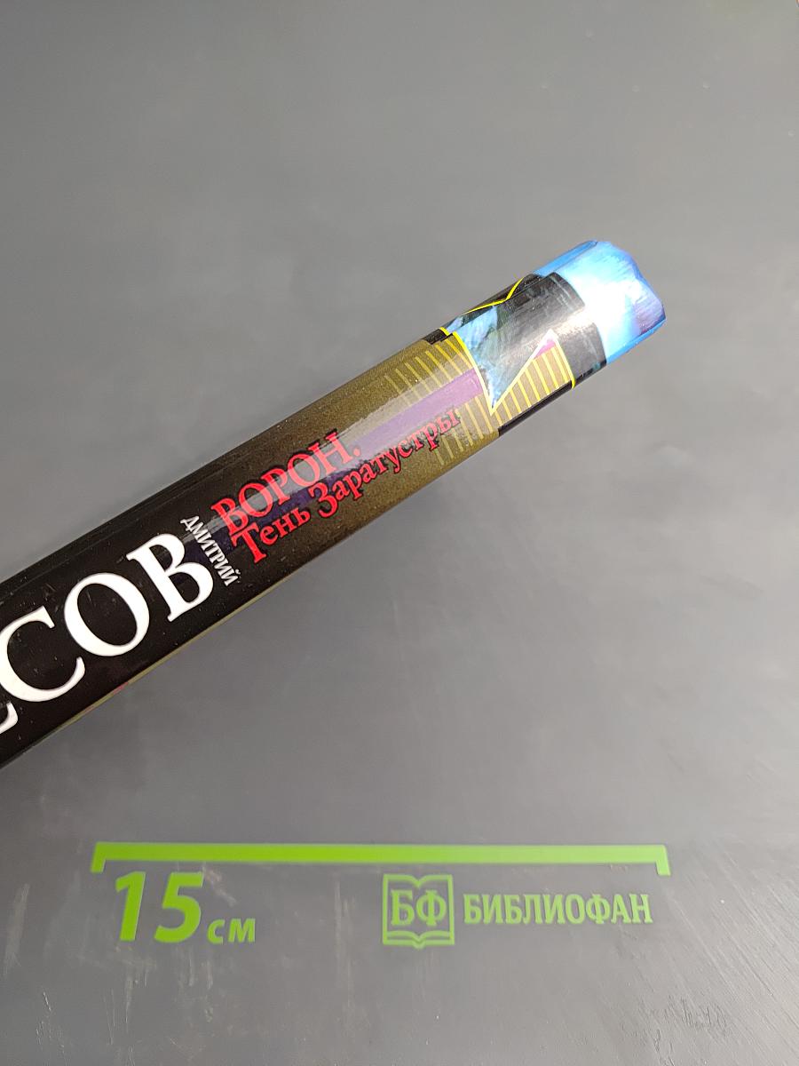 Ворон. Тень Заратустры