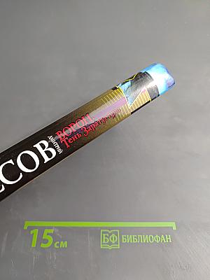 Ворон. Тень Заратустры