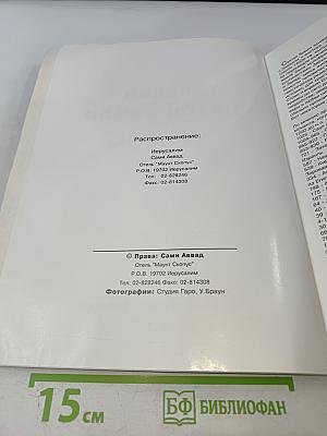 Краски Святой Земли