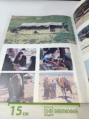 Краски Святой Земли