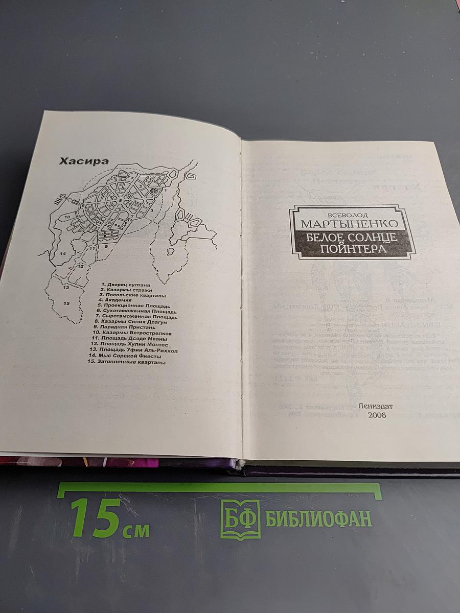 Белое солнце Пойнтера