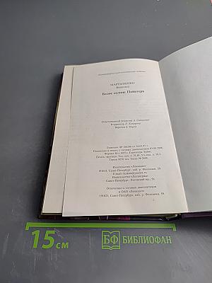 Белое солнце Пойнтера