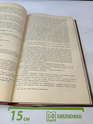 И поджег этот дом