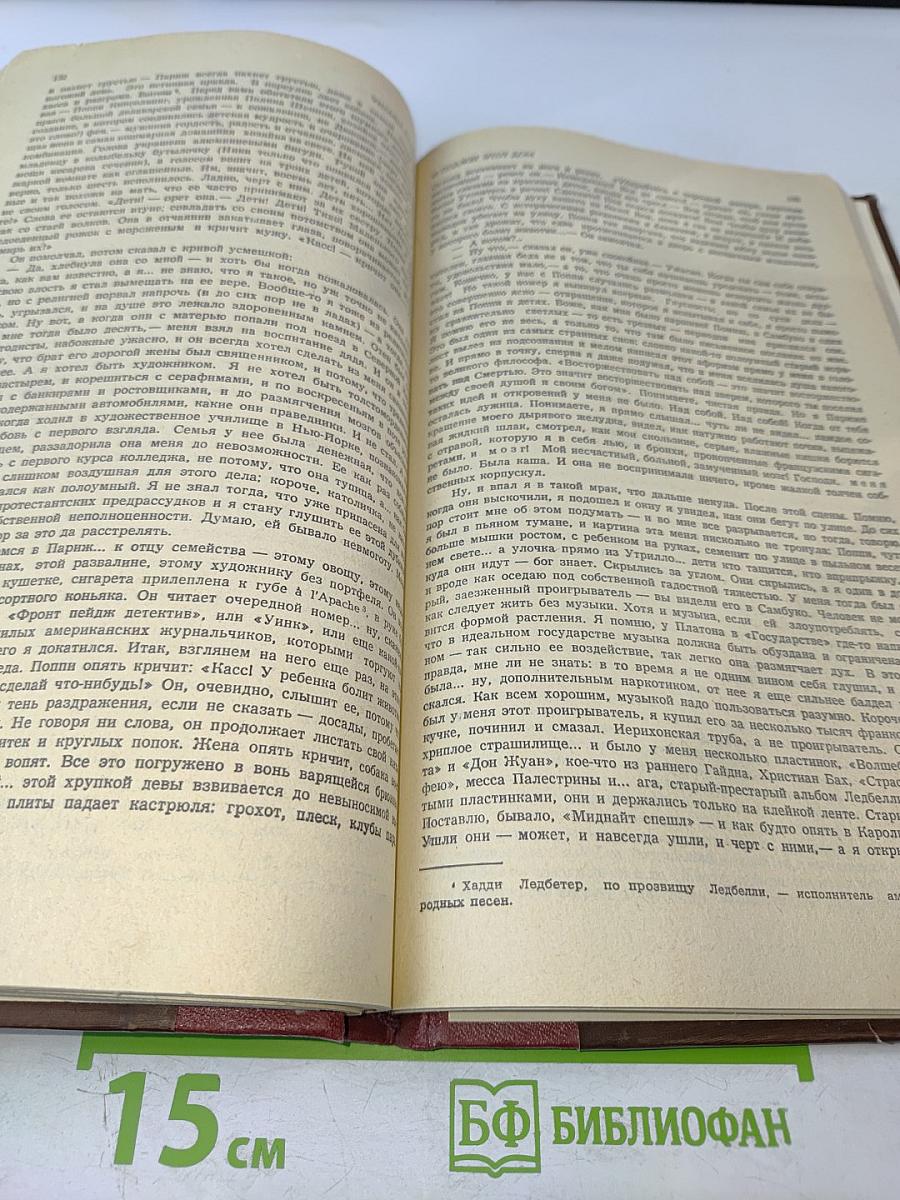 И поджег этот дом