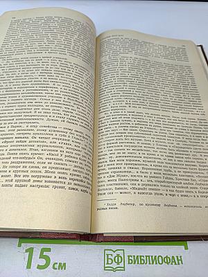 И поджег этот дом