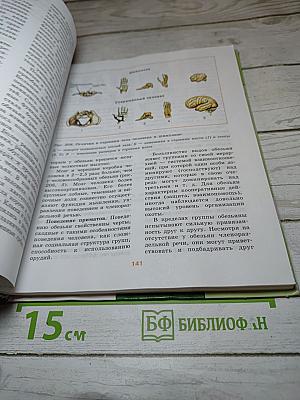 Биология. Общая биология. 10-11 классы. Часть 2