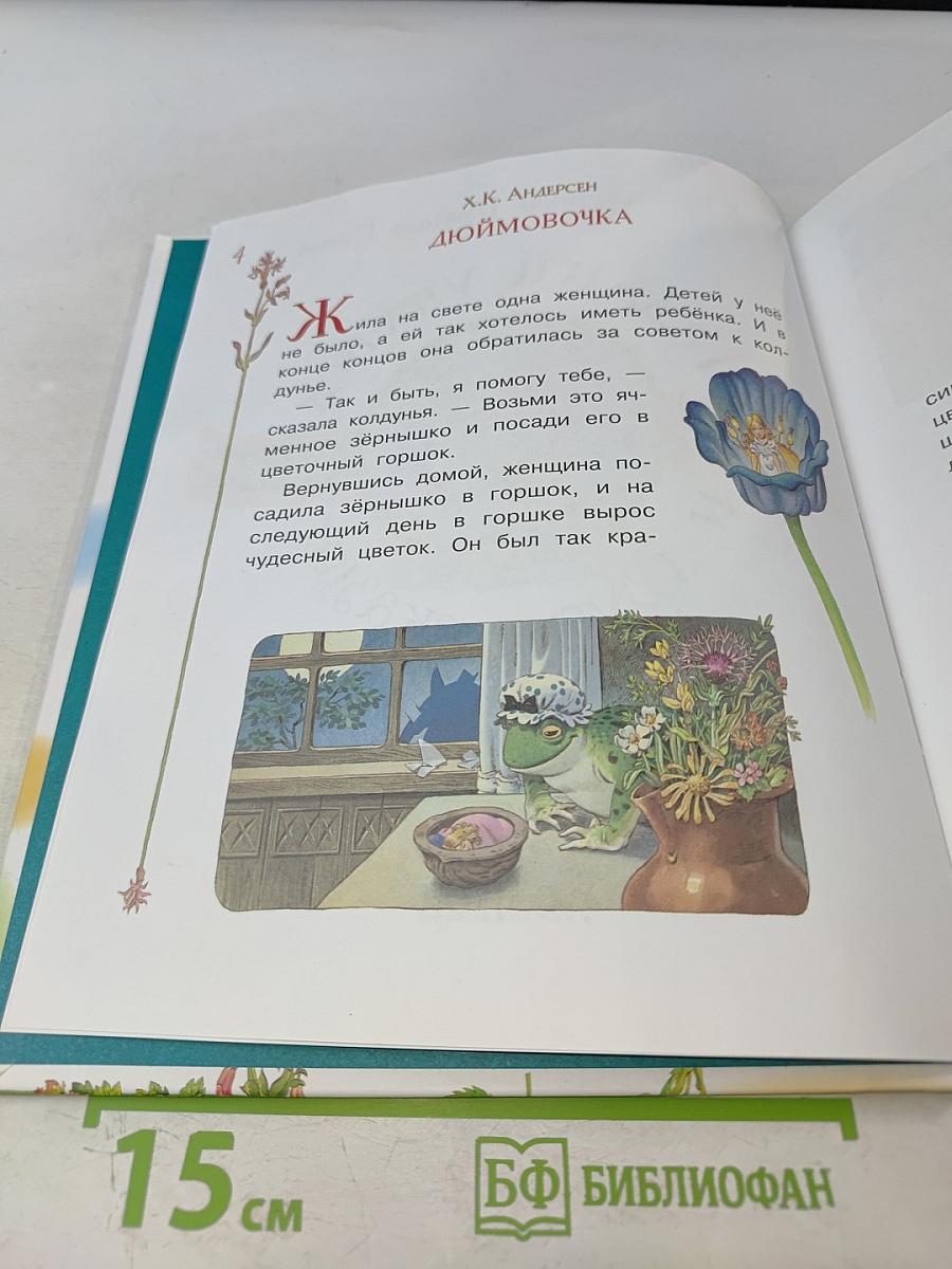 Гадкий утенок и другие сказки