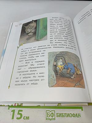 Гадкий утенок и другие сказки