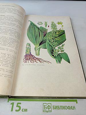 Дикорастущие лекарственные растения СССР