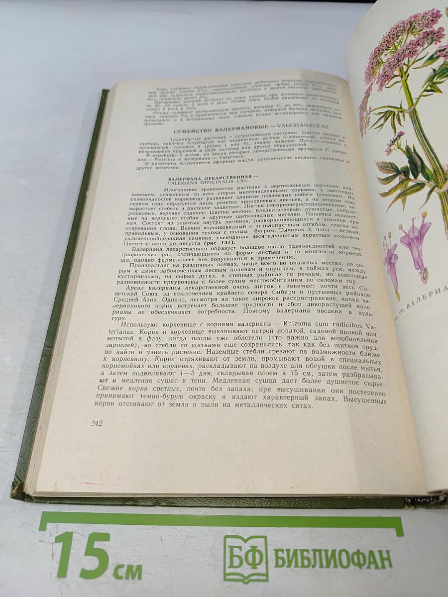 Дикорастущие лекарственные растения СССР