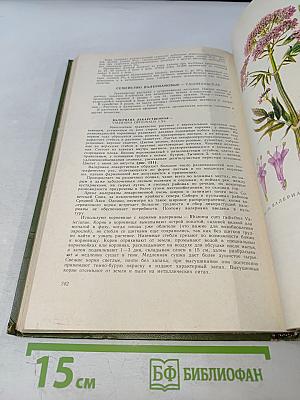 Дикорастущие лекарственные растения СССР