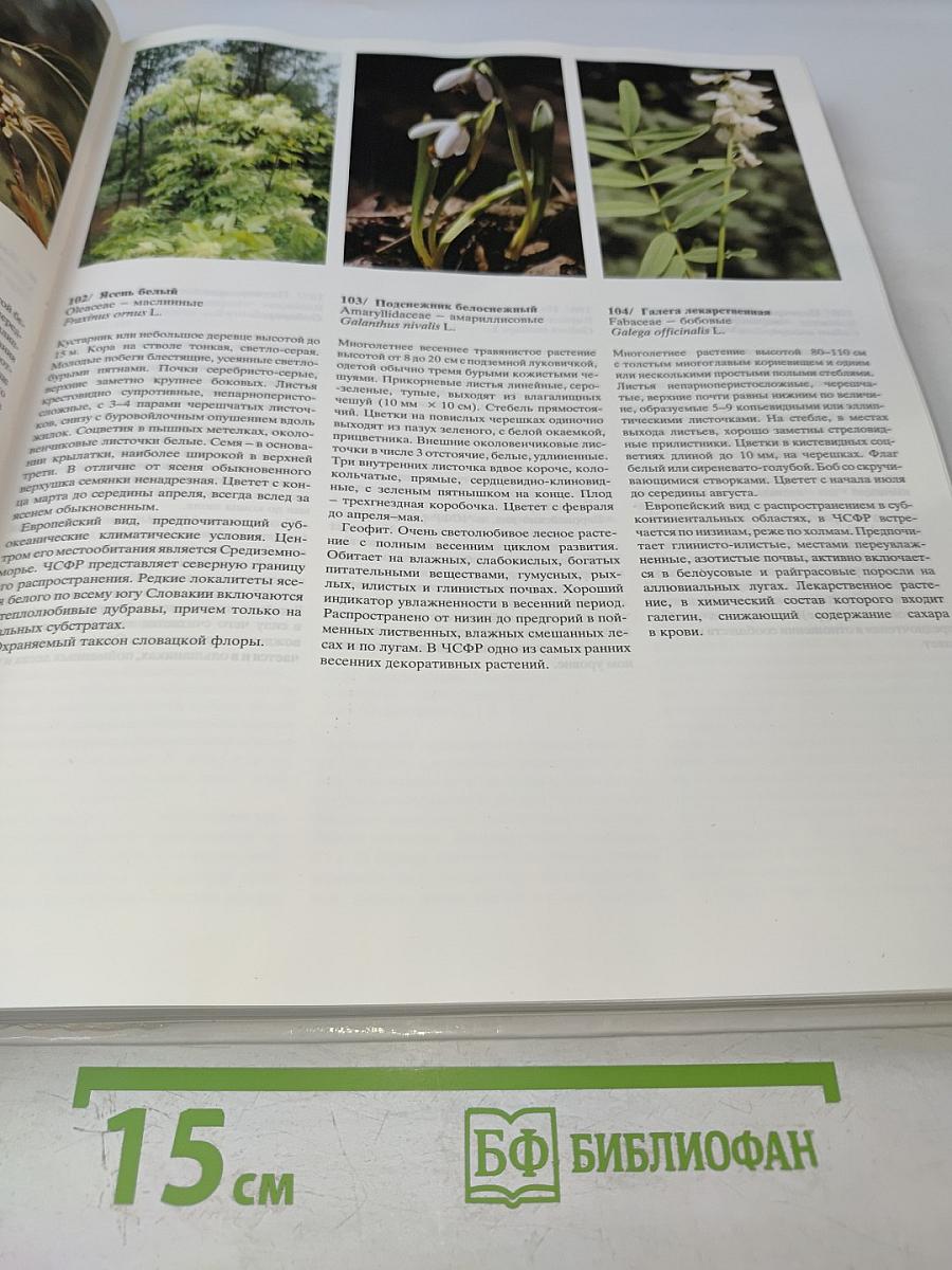 Цветовой атлас растений