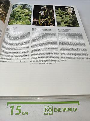 Цветовой атлас растений