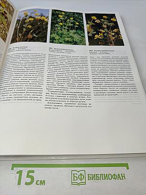 Цветовой атлас растений