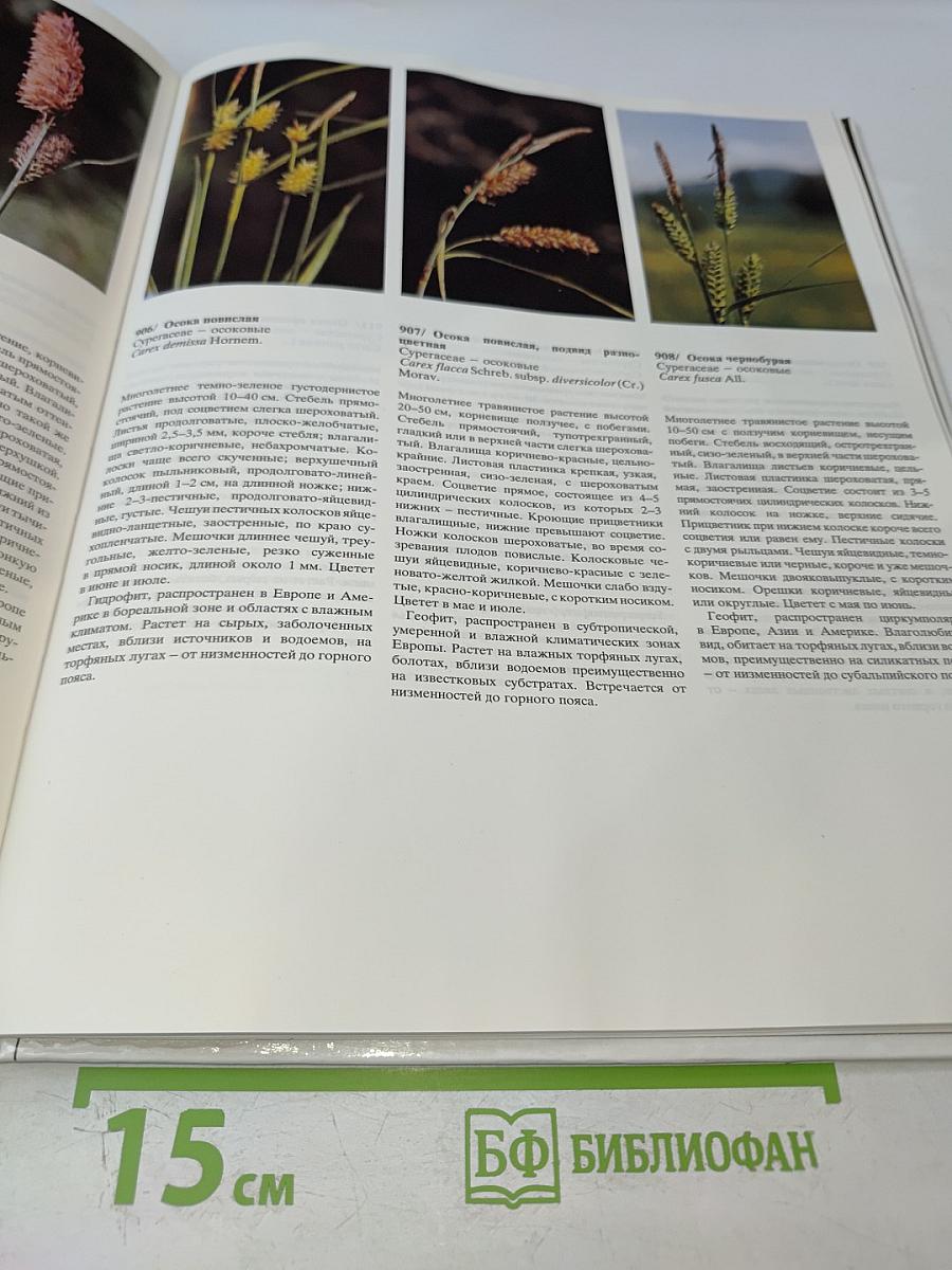 Цветовой атлас растений