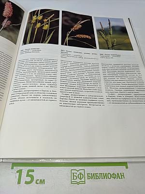 Цветовой атлас растений