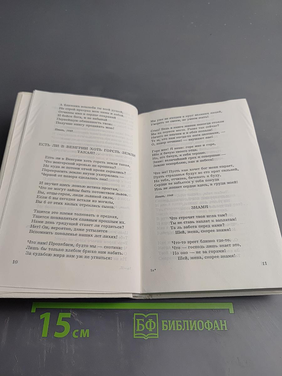 Собрание сочинений. Том 2. Стихотворения 1845-1849. Поэмы