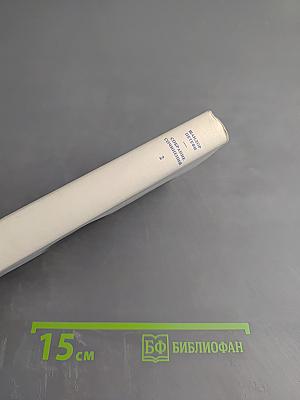 Собрание сочинений. Том 2. Стихотворения 1845-1849. Поэмы