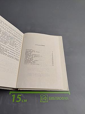 Лесков в Петербурге