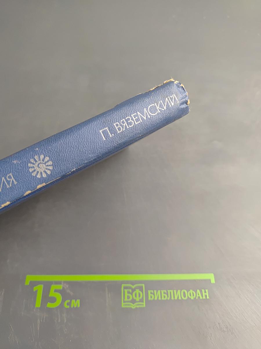 Поэтическая Россия. Пётр Вяземский. Стихотворения