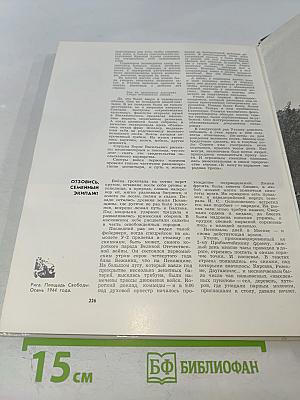 Одна секунда войны