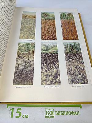 Детская энциклопедия. Том 1. Земля