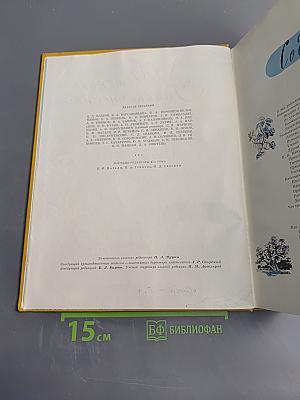 Детская энциклопедия. Том 4. Растения и животные