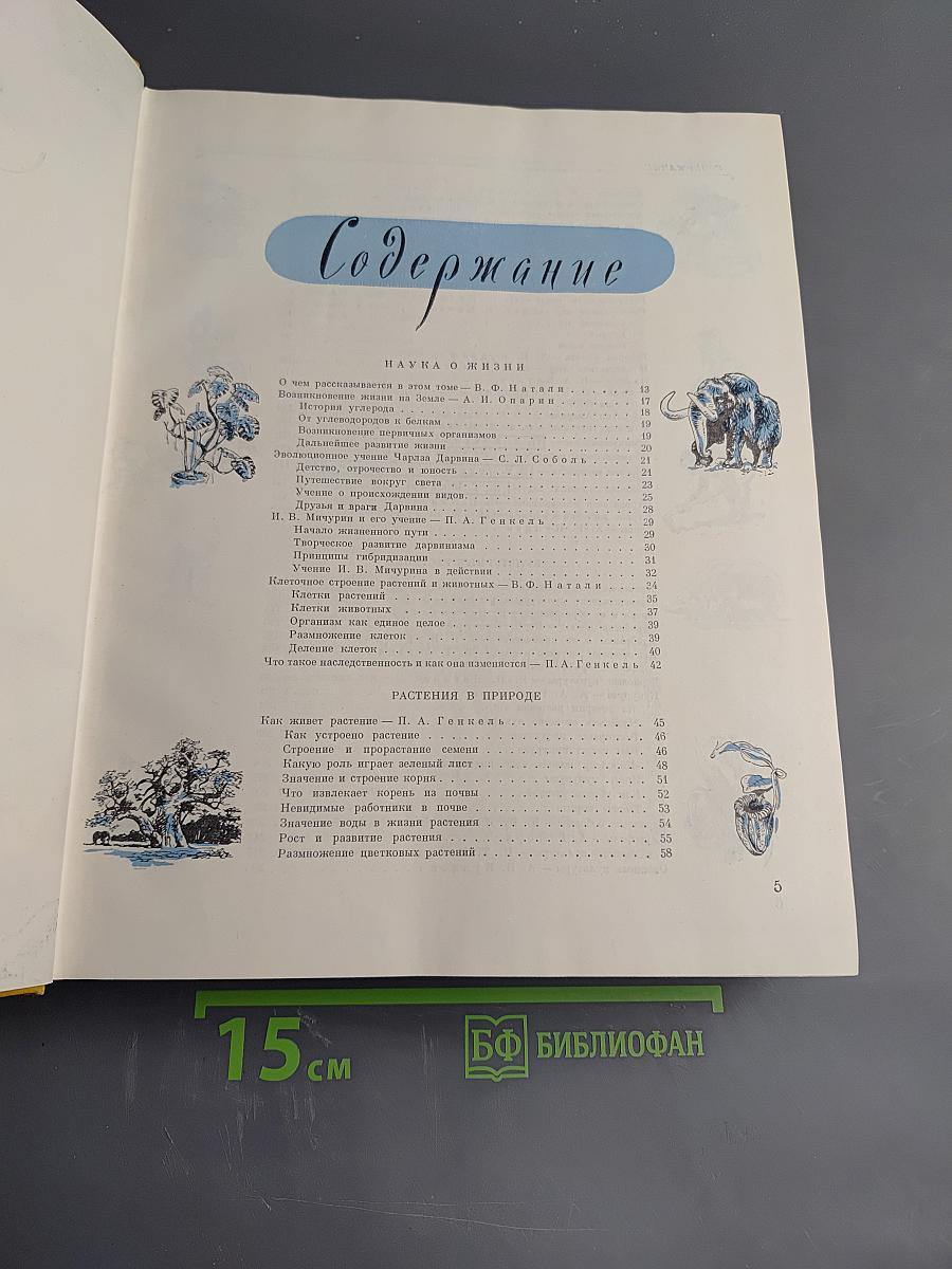 Детская энциклопедия. Том 4. Растения и животные