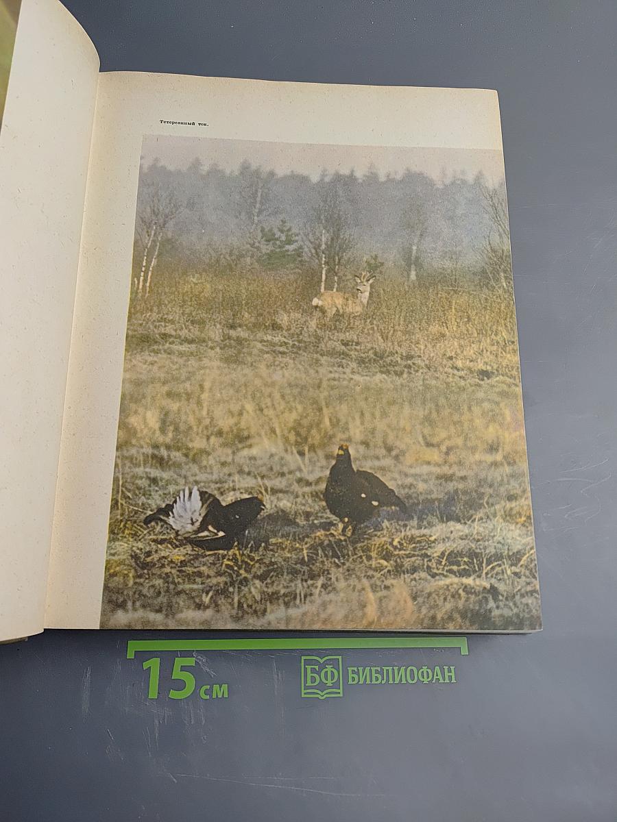 Детская энциклопедия. Том 4: Наука о жизни