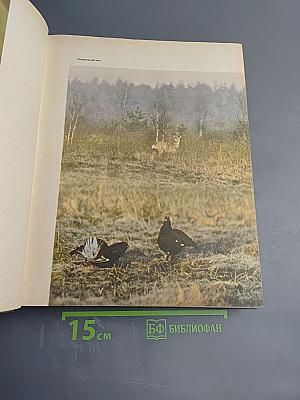 Детская энциклопедия. Том 4: Наука о жизни