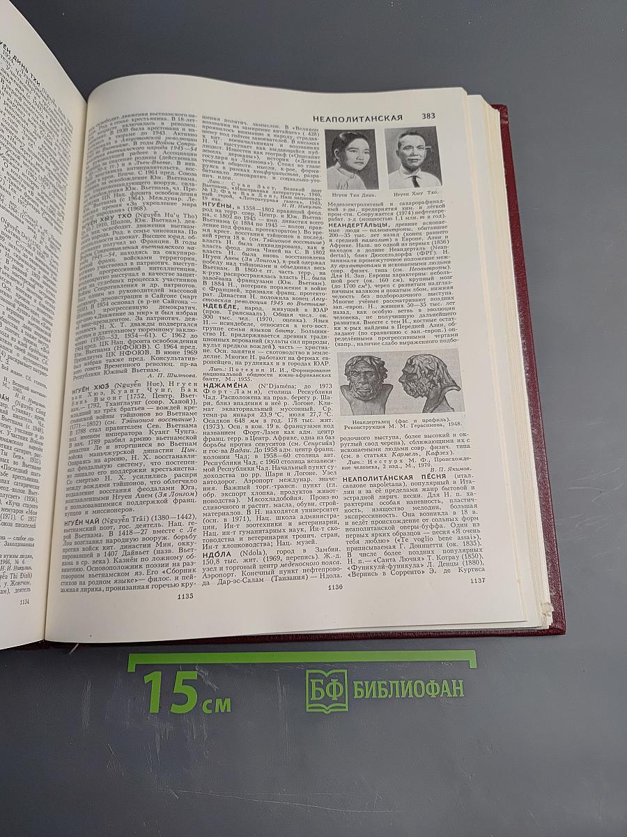 Большая Советская Энциклопедия. Том 17: Моршин – Никиш