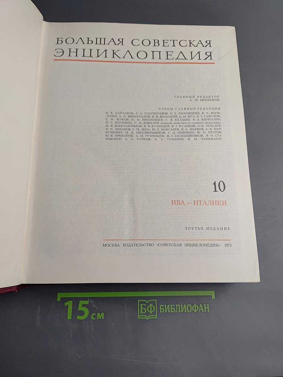 Большая Советская Энциклопедия. Том 10: Ива — Италийки