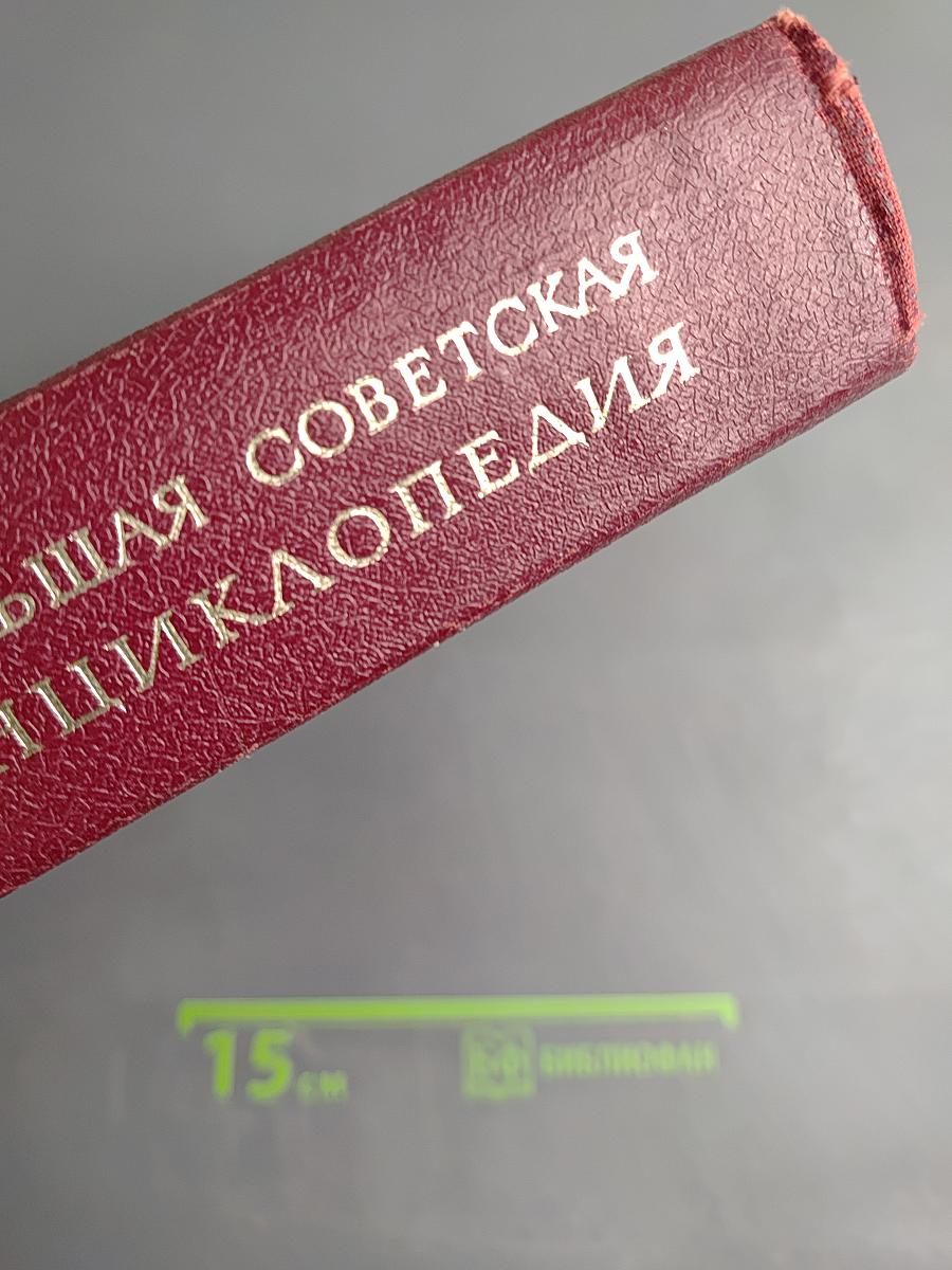 Большая Советская Энциклопедия. Том 10: Ива — Италийки