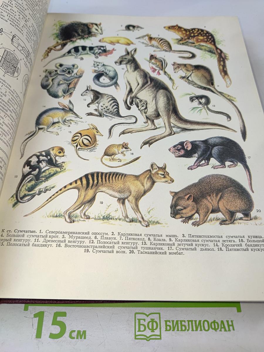 Большая Советская Энциклопедия. Том 25: Струнино — Тихорецк