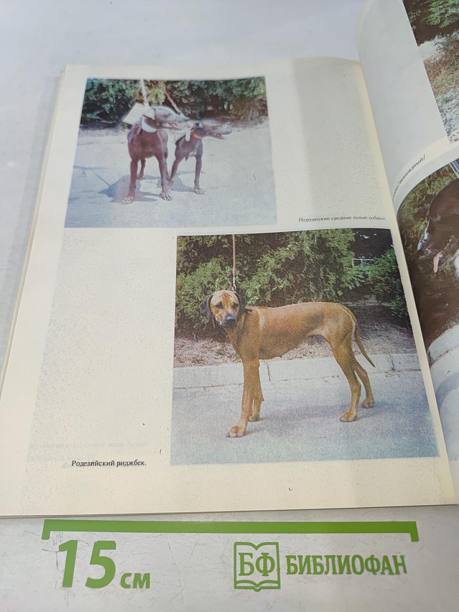 О СОБАКЕ: О собаке почти все: происхождение, породы, генетика, ветеринария, дрессировка, собачьи проблемы