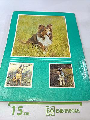 О СОБАКЕ: О собаке почти все: происхождение, породы, генетика, ветеринария, дрессировка, собачьи проблемы