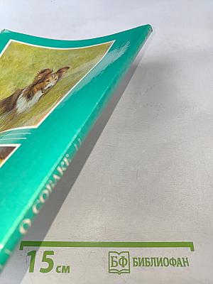 О СОБАКЕ: О собаке почти все: происхождение, породы, генетика, ветеринария, дрессировка, собачьи проблемы