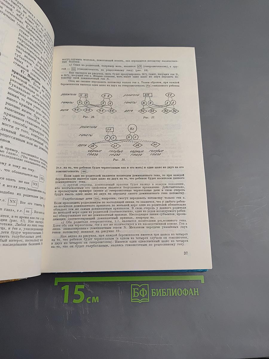 Мать и дитя