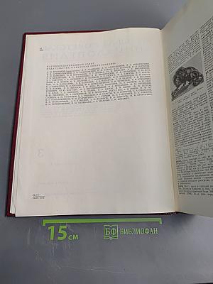 Большая Советская Энциклопедия. Том 3: Бари - Браслет