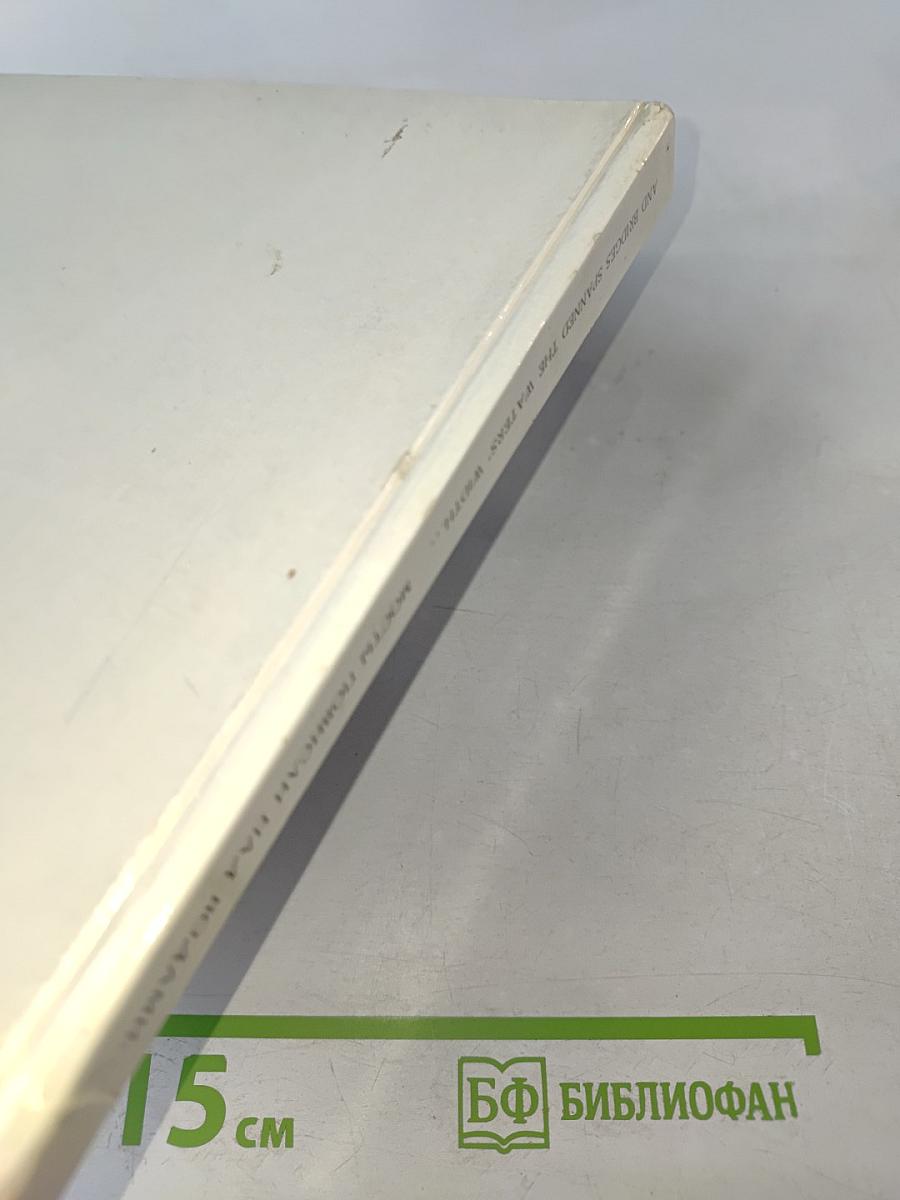 Мосты повисли над водами... / And bridges spanned the waters' width...