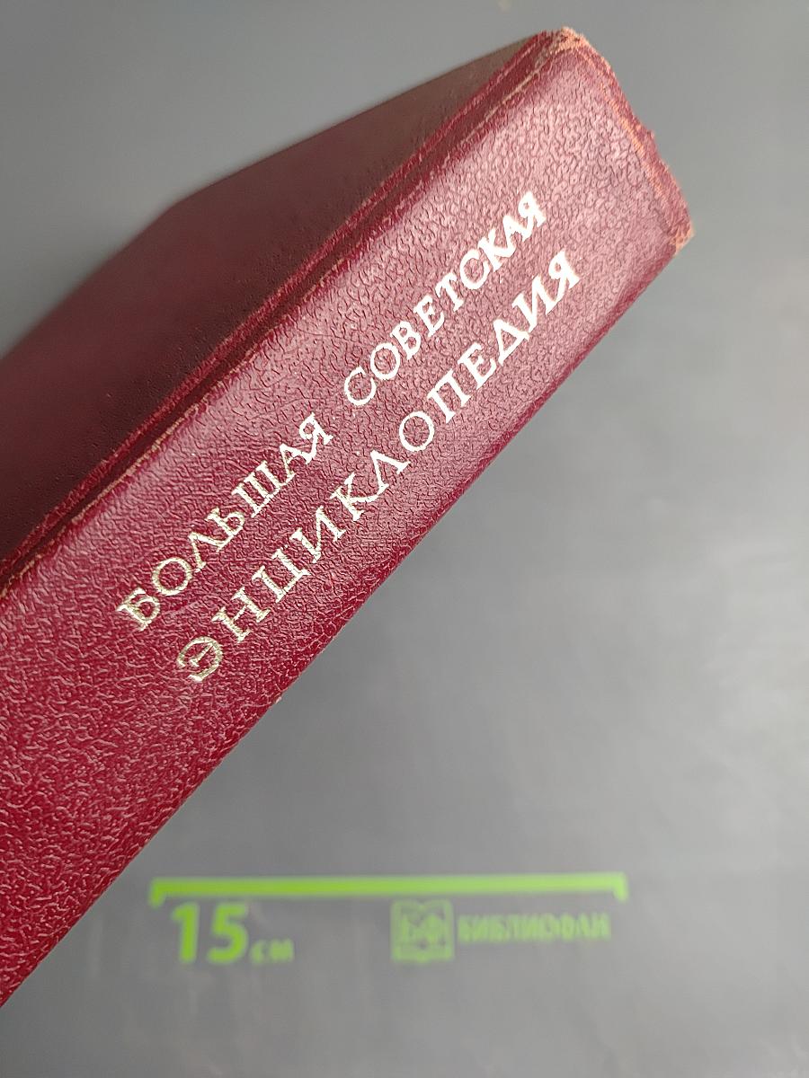 Большая Советская Энциклопедия. Том 4: Брасос – Веш