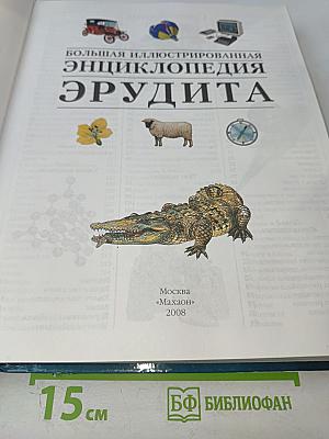 Большая иллюстрированная энциклопедия Эрудита
