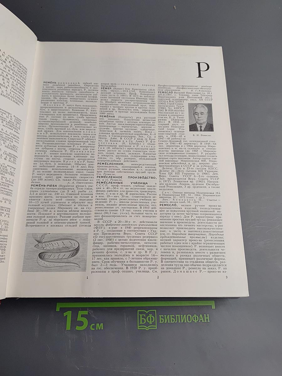 Большая Советская Энциклопедия, Том 22 (Ремень - Сафи)